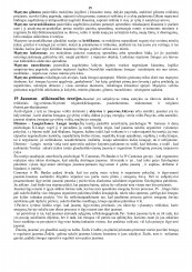 www.speros.lt
